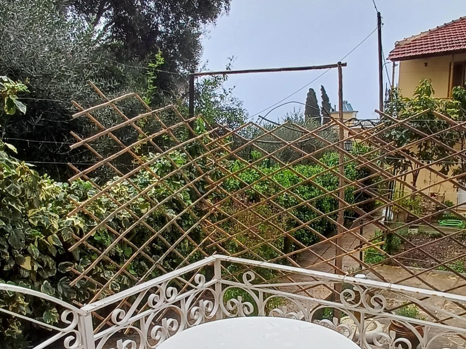 Flora Studios Corfu - Adults Only Benitses  Ngoại thất bức ảnh